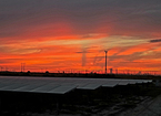 Sunset over solar panel rows