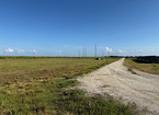 Dirt road through open field